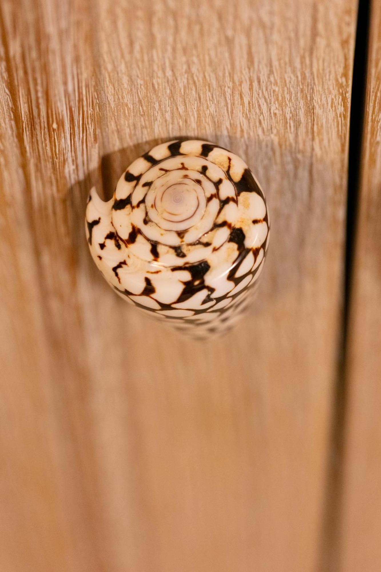 Residenza Sveva Bed & Breakfast Termoli Dış mekan fotoğraf